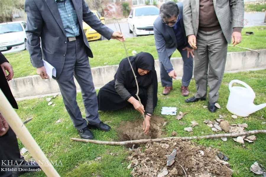 جانبخشان مرگ مغزی در بوستان ملل صاحب درخت شدند